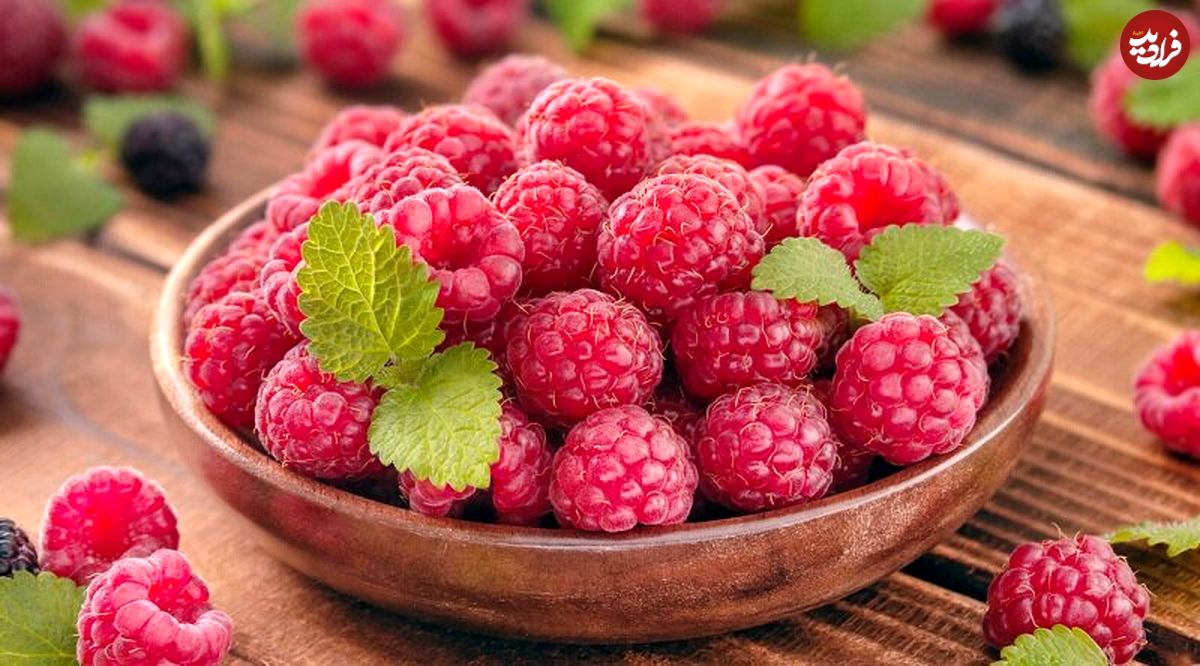 آغاز فصل برداشت یکی از پرخاصیت‌ترین میوه‌های جهان در ایران