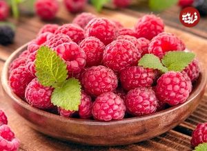 آغاز فصل برداشت یکی از پرخاصیت‌ترین میوه‌های جهان در ایران