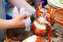 ببینید| غذای خیابانی در تایوان؛ پخت یک غذای لوکس با خرچنگ رانینا رانینا در تایپه