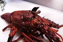 ببینید| غذای خیابانی در کره؛ لابستر کبابی با سبزیجات در سئول