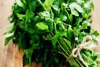 کاهش قند خون با مصرف یک سبزی معطر