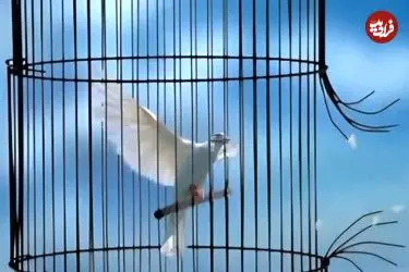 رضایت اولیای دم پای چوبه دار؛ قاتل از قصاص نجات یافت