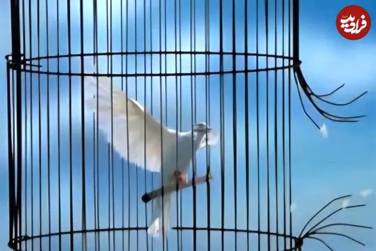 رضایت اولیای دم پای چوبه دار؛ قاتل از قصاص نجات یافت