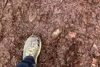 بزرگترین تمدن جهان درست زیر پای ماست!