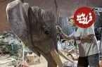 تصاویر| حیوانات شگفت‌انگیزی که از دل کنده‌های درخت بیرون می‌آیند