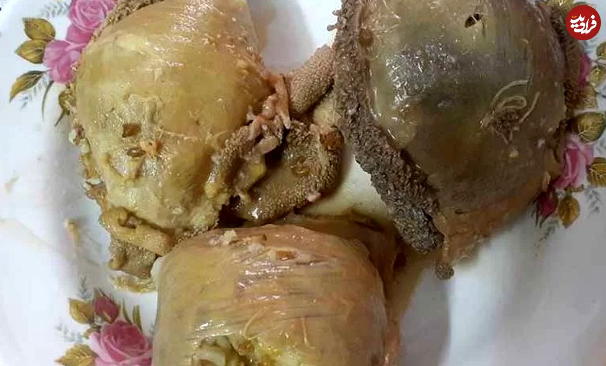 طرز تهیه کله گیپا خوشمزه؛ غذای سنتی و اصیل یزد