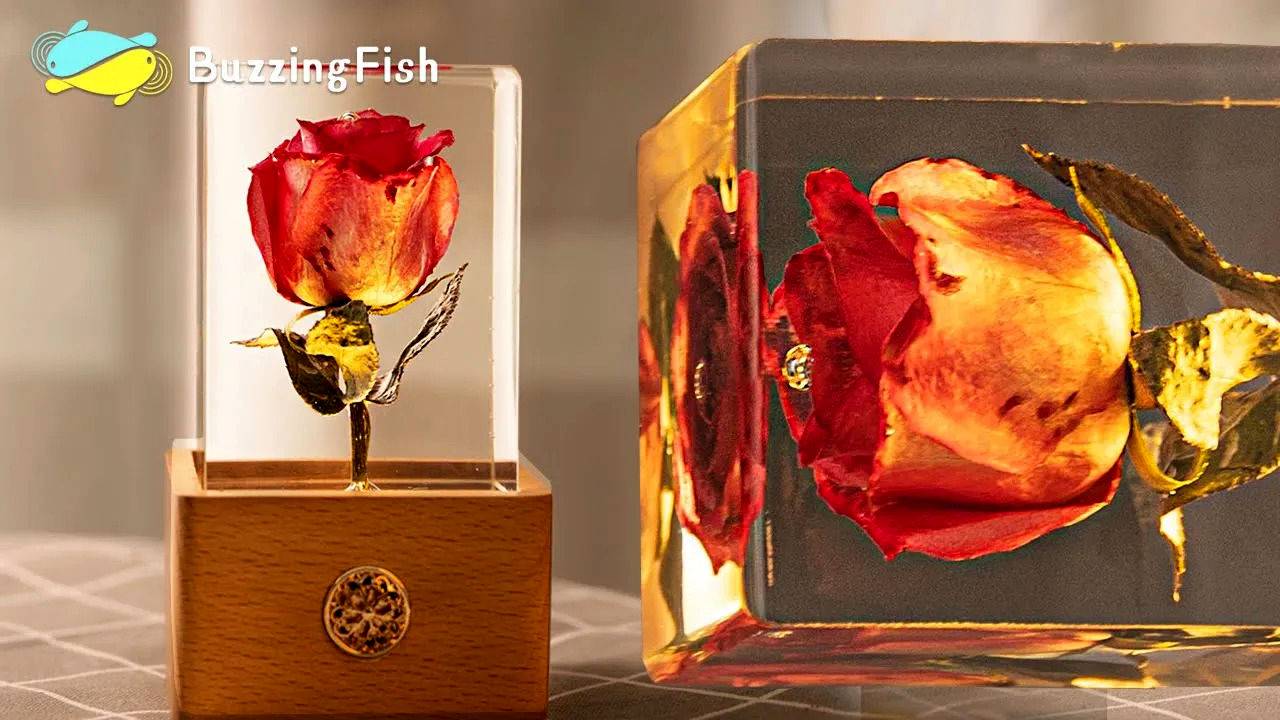 (ویدئو) یک ایده درخشان برای ساخت یک چراغ خواب زیبا با گل رز قرمز 