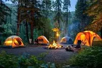 دستور دادستان آمل: ممنوعیت اقامت شبانه در جنگل‌ها