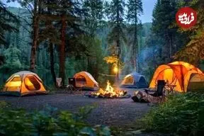 دستور دادستان آمل: ممنوعیت اقامت شبانه در جنگل‌ها