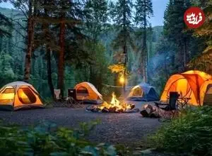 دستور دادستان آمل: ممنوعیت اقامت شبانه در جنگل‌ها