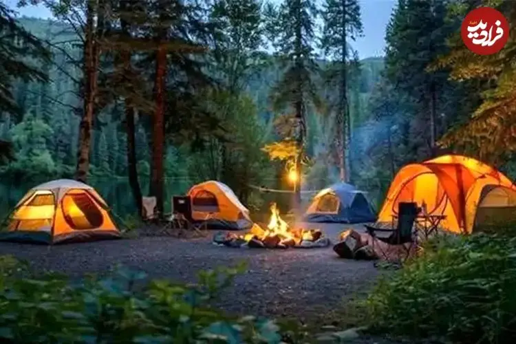 دستور دادستان آمل: ممنوعیت اقامت شبانه در جنگل‌ها