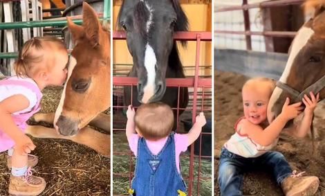(ویدیو) دوستی دیدنی دختر کوچولو و اسب ها! 