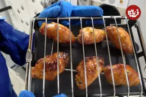 ببینید؛ بال کبابی در فضا!