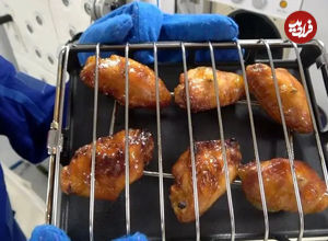 ببینید؛ بال کبابی در فضا!