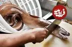 ببینید| غذای خیابانی در چین؛ برش و تهیه دو نوع غذا با مارماهی مورای قرمز در پکن