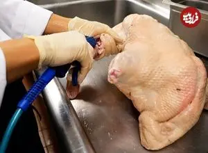 ببینید| غذای خیابانی در آمریکا؛ پخت اردک به روش سنتی چینی در نیویورک