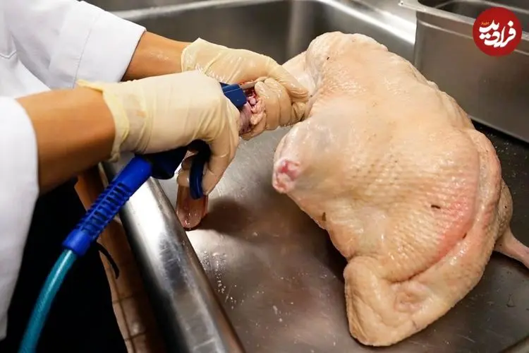 ببینید| غذای خیابانی در آمریکا؛ پخت اردک به روش سنتی چینی در نیویورک