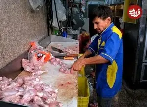 قیمت مصوب مرغ اعلام شد