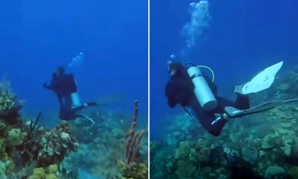 ( ویدیو) لحظه وحشت غواصان از صدای امواج صوتی ردیابی زیردریایی‌ آمریکایی 