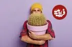 تصاویر| ۴ گیاه آپارتمانی مقاوم برای افرادی که حتی کاکتوس را هم خشک می‌کنند