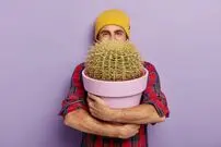 تصاویر| ۴ گیاه آپارتمانی مقاوم برای افرادی که حتی کاکتوس را هم خشک می‌کنند
