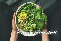 (ویدئو) گیاهخواری دقیقا با بدن انسان چه می کند؟ تغییراتی که درباره آن‌ها نمی‌دانید
