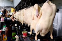 ببینید؛ غذای خیابانی در کره؛ اردک و مرغ بریان در سئول