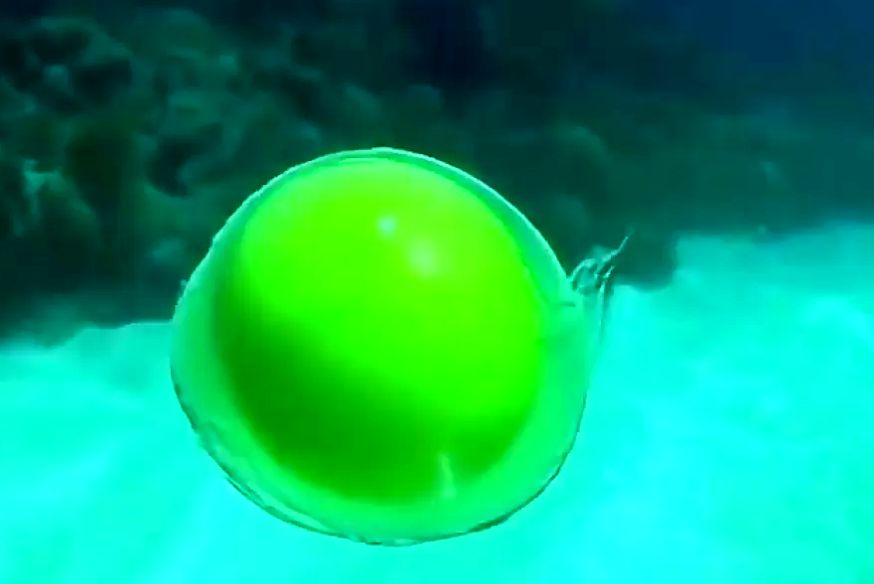 (ویدئو) آزمایش جالب شکستن تخم مرغ در زیر آب