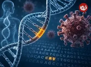 ردپای ویروس‌های کهن در DNA انسان