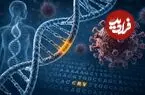ردپای ویروس‌های کهن در DNA انسان