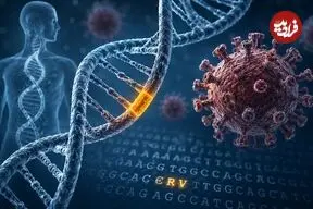 ردپای ویروس‌های کهن در DNA انسان
