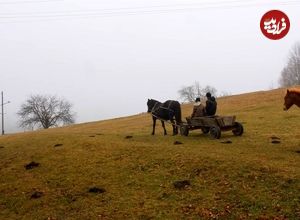 (ویدئو) نحوه تهیه سوسیس دودی توسط بانوی روستایی در کوهستان های اوکراین