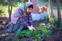 ببینید؛ غذای روستایی در ایران؛ پخت خورشت کدو حلوایی در روستایی جنگلی