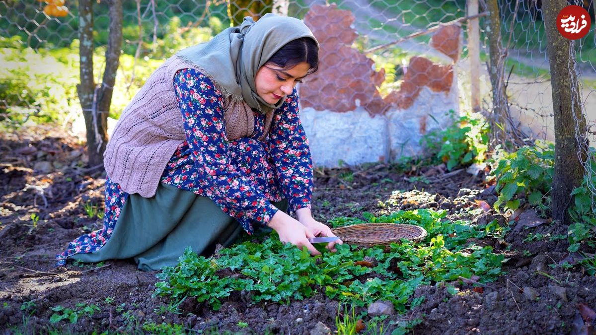 ببینید؛ غذای روستایی در ایران؛ پخت خورشت کدو حلوایی در روستایی جنگلی
