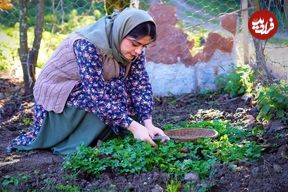 ببینید؛ غذای روستایی در ایران؛ پخت خورشت کدو حلوایی در روستایی جنگلی