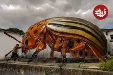 شاهکارهای سه‌بعدی نقاش پرتغالی که بتن را به سوسک تبدیل می‌کند