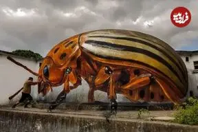 شاهکارهای سه‌بعدی نقاش پرتغالی که بتن را به سوسک تبدیل می‌کند