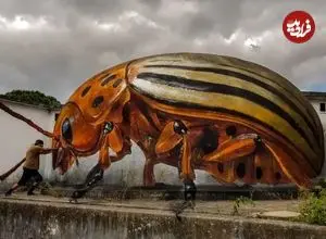 شاهکارهای سه‌بعدی نقاش پرتغالی که بتن را به سوسک تبدیل می‌کند