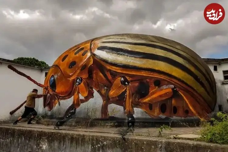 شاهکارهای سه‌بعدی نقاش پرتغالی که بتن را به سوسک تبدیل می‌کند