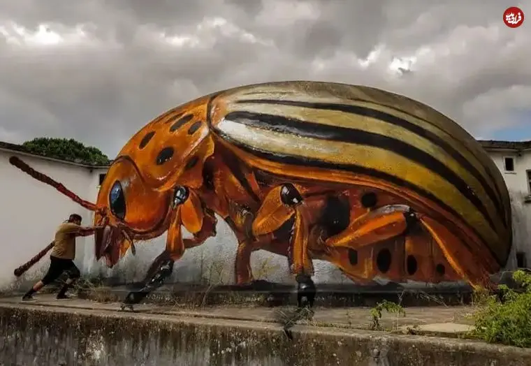 شاهکارهای سه‌بعدی نقاش پرتغالی که بتن را به سوسک تبدیل می‌کند