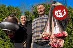 (ویدئو) غذای روستایی در آذربایجان؛ پخت یک غذای محلی با دم بزرگ گاو