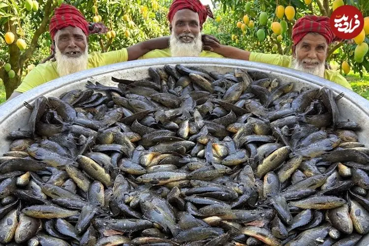 ببینید| غذای روستایی در هند؛ پخت خورشت کاری با 200 عدد ماهی کوی در روستا