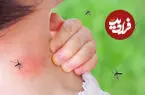 کودکتان را حشره گزیده؟ /این علائم را جدی بگیرید