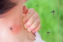 کودکتان را حشره گزیده؟ /این علائم را جدی بگیرید