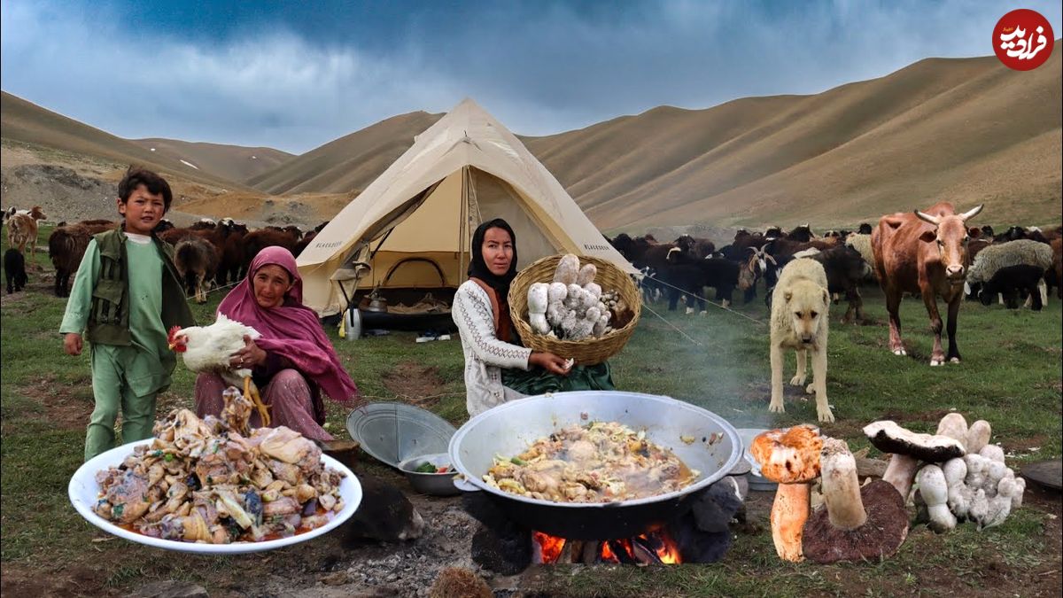 ببینید؛ غذای روستایی در افغانستان؛ برداشت قارچ وحشی و پخت خوراک مرغ و قارچ