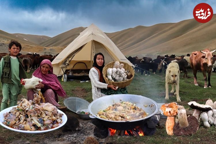 ببینید؛ غذای روستایی در افغانستان؛ برداشت قارچ وحشی و پخت خوراک مرغ و قارچ