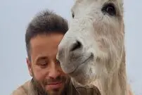 (ویدئو) پرتقال خوردن با الاغ؛ ویدئوی جالبی که خیلی پر بیننده شده 