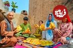 ببینید؛ غذای روستایی در افغانستان؛ برداشت سبزی از مزرعه و تهیه بولانی در تنور