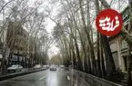 عکس| سفر به تهران قدیم؛ ترافیک سنگین در خیابان ولیعصر؛ دهه 50