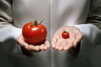 دستکاری ژنتیکی: از نسل‌های نخستین تا آینده‌ای نامحدود